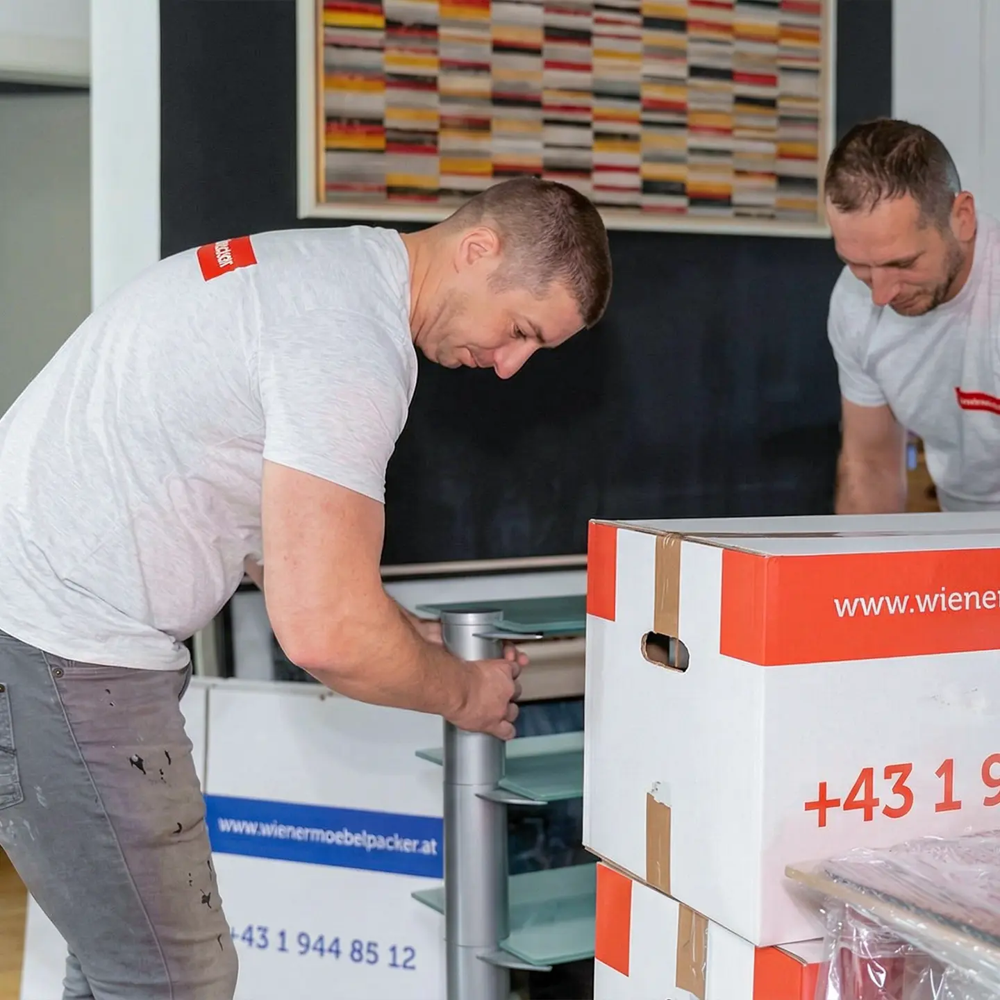 Möbelmontage im neuen Zuhause in Bregenz