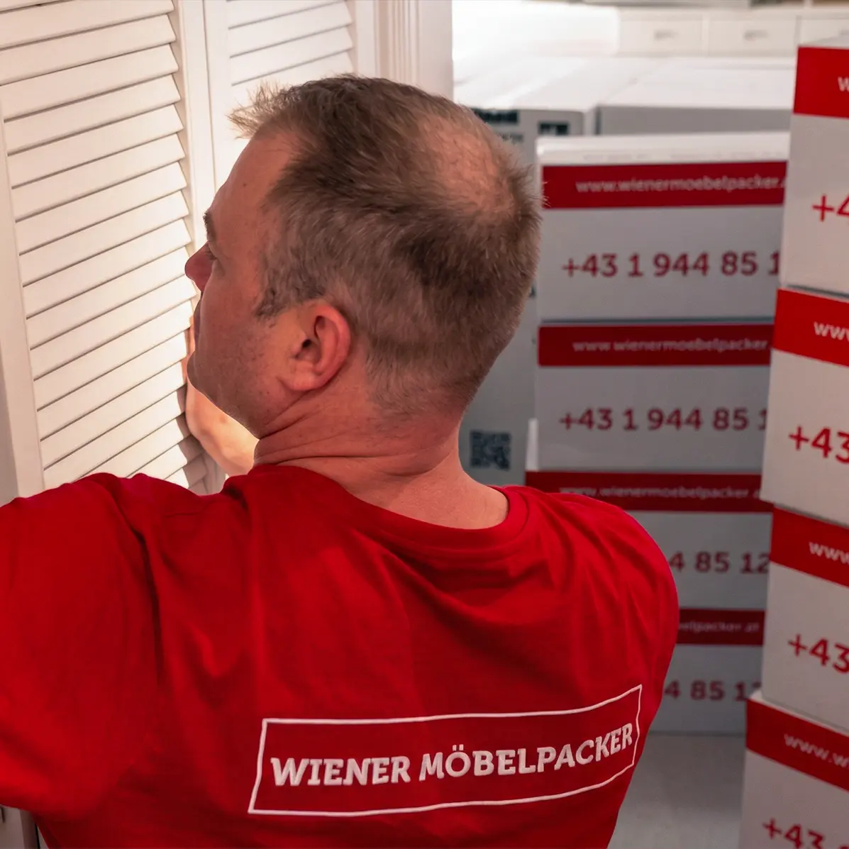Möbelmontage in Eisenstadt