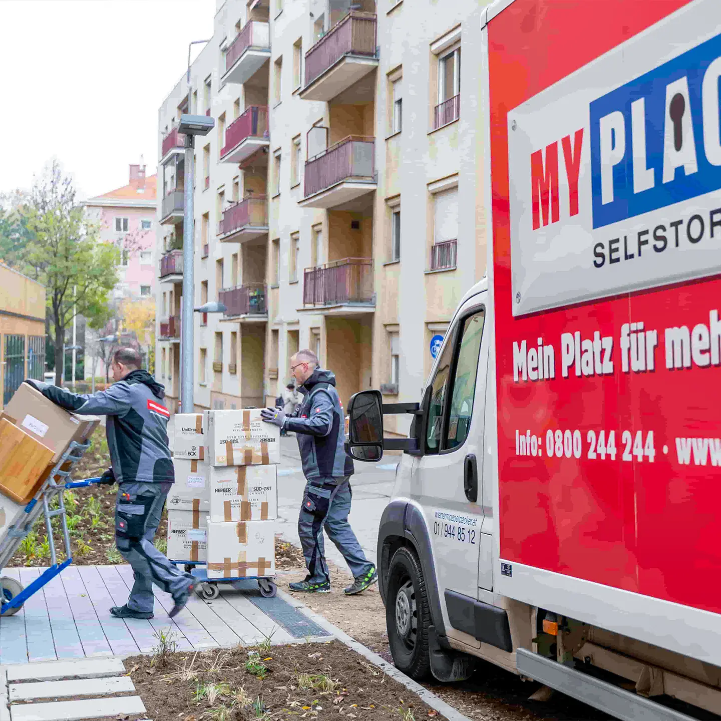 Umzugshelfer tragen Umzugskartons