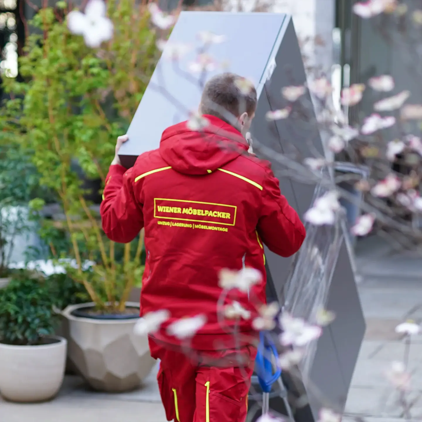 das größte Umzugsteam