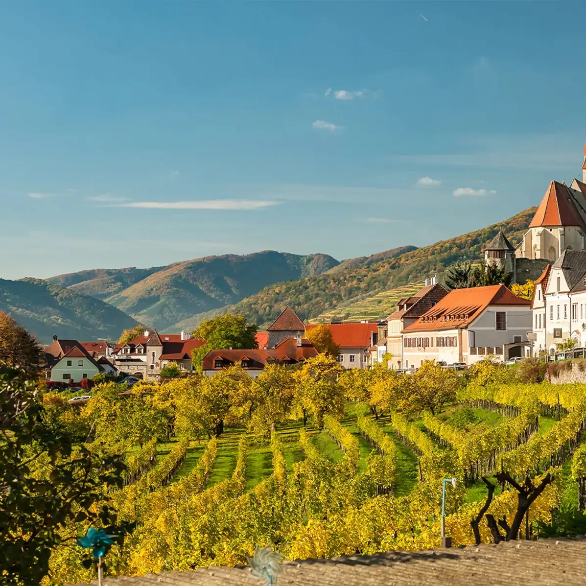 Nach dem Umzug die Umgebung entdecken